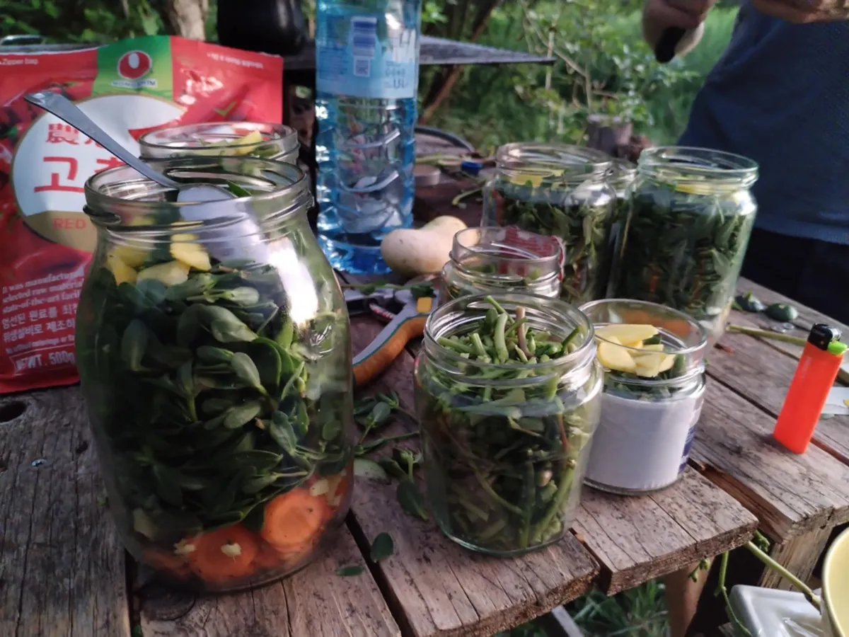 Vsebino obtežimo ter prelijemo z ohlajeno slanico in poskrbimo, da je zelenjava popolnoma potopljena v tekočini, da se izognemo nezaželenim ogranizmom, naprimer plesni.
Kozarec zapremo (lahko uporabimo pokrovček ali fermentacijski pokrovček z ventilom). Postavimo ga na sobno temperaturo (18–24 °C).

Prvih nekaj dni lahko opazimo mehurčke, rahlo penjenje in značilen vonj – znak, da fermentacija deluje.

Čas: 7–14 dni za blag okus, lahko do 3–4 tedne za intenzivnejši rezultat.