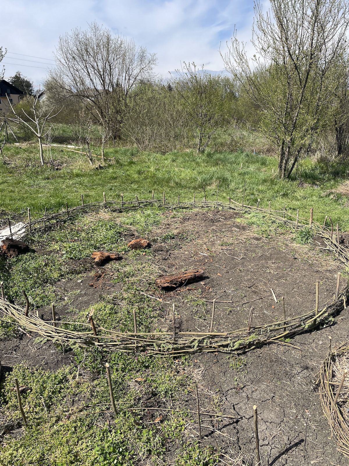 Z vrvico ali palicami začrtaj krog želene velikosti. V očrtan krog na vsakih 30–40 cm zabij količke (rahlo nagnjene navzven).