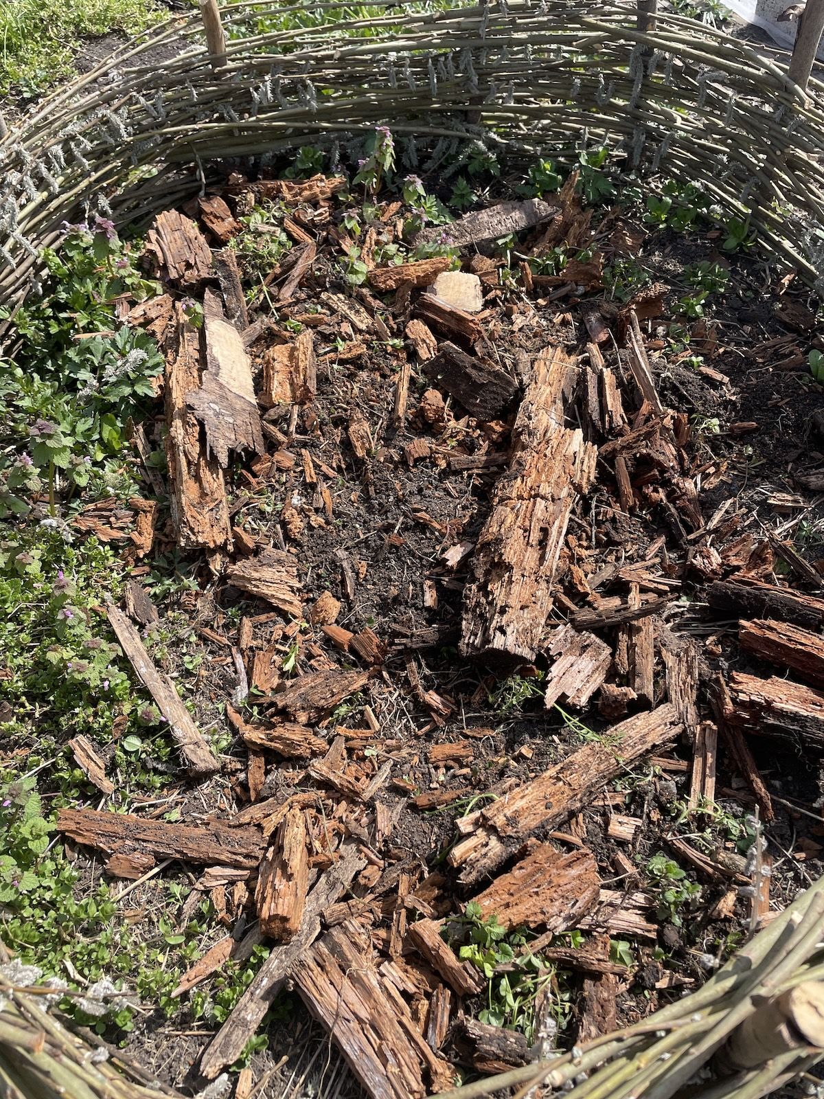 V notranjost oboda najprej položi sloj večjega vejevja in kose lesa. Dodaj drobnejše veje, ki zapolnijo večje praznine. Listje, pokošeno rastlinje in slama tvorijo vpojno, razgradljivo sredico.